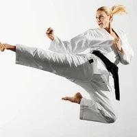Mikes Contact Karate