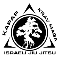 Krav Maga Classes Liverpool