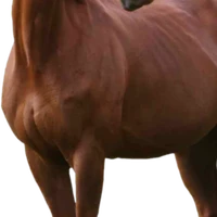 Les Ecuries Des Lichères