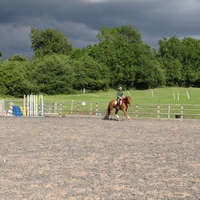 saxelbyemanorstud
