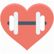 THE MUSCLE BAR