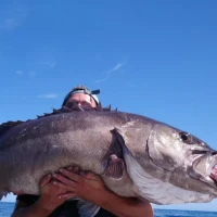 Game On Charters