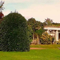 Clubmoor - Football Pitch