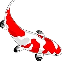 Owens Shropshire Pond Specialists