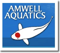Amwell Aquatics