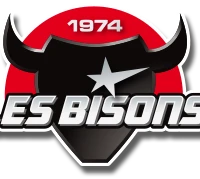 Hockey Club de Neuilly-sur-Marne "Les Bisons"