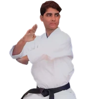 Subuzen karate academy