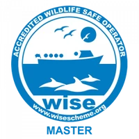 Newquay Sea Safaris & Fishing