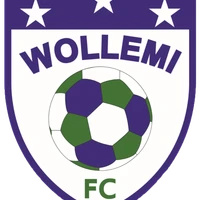Wollemi FC