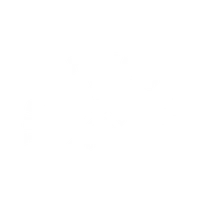 Thrive Fitness and Personal Training