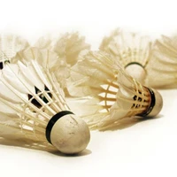 Plaimpied-Givaudins Badminton