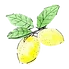 lemon + bloom yoga