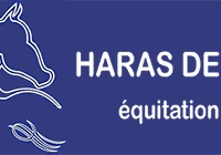 Stud Des L - Equitation