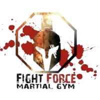 FIGHT FORCE MMA Montpellier