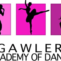 Gawler Academy Of Dance Studio