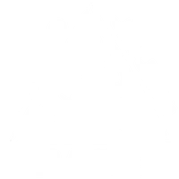 Base Jiu-Jitsu