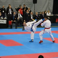 Delta Karate School