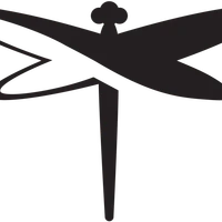 Dragonfly Health Space