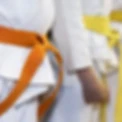 Kokoro Judo