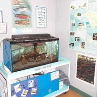 Salmonid Enhancement Program