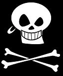 Pirate Fitness