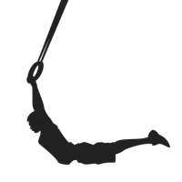 Niche Health and Rehabilitation