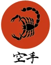 Sasori Shotokan Karate Club (Chelsea branch)