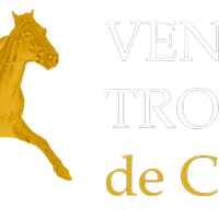 Les Ventes de Trotteurs de Caen