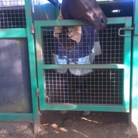Braeside Racing Stable