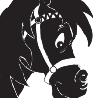 Randonnée à Cheval - Cheval Rit