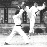 K. H. Min Taekwondo Academy Spruce Grove