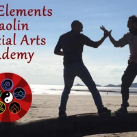 Shifu Waters & Five Elements Shaolin Martial Arts Academy