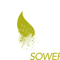 Crossfit Sower Rambouillet (Salle de Sport, Fitness, Musculation, Coaching Sportif)