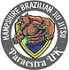 Hampshire BJJ