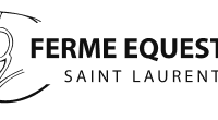 Horse Farm De St-Laurent - Équitation- Randonnées-Formation