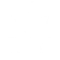 Five Star Fish and Cruise Charters