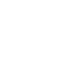 Inner Roar Yoga & Wellness