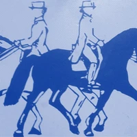Starlight Riding Centre