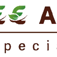 Shree Ayurvedic Multispeciality Hospital - West Mambalam