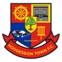 Hoddesdon Town Football Club