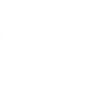 Rogue Movement