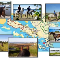 La Carriage De Séné - Balade À Cheval