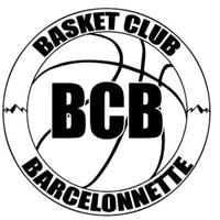 Comite des Alpes du Sud Basket Ball