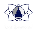 Pranic Healing Hyderabad - Sanjeevani Wellness and Meditation Studio