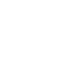 Kamikaze Punishment Foundation