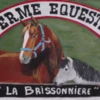 Equestrian Farm La Brissonnière