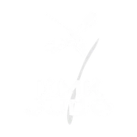 KMK Judo