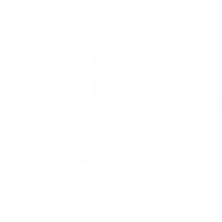 impulsion