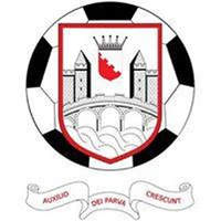 Bandon AFC (Soccer Club)