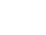 The Golden Light - Jotipal Kaur